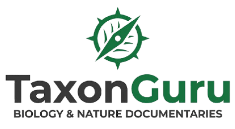 TaxonGuru.com