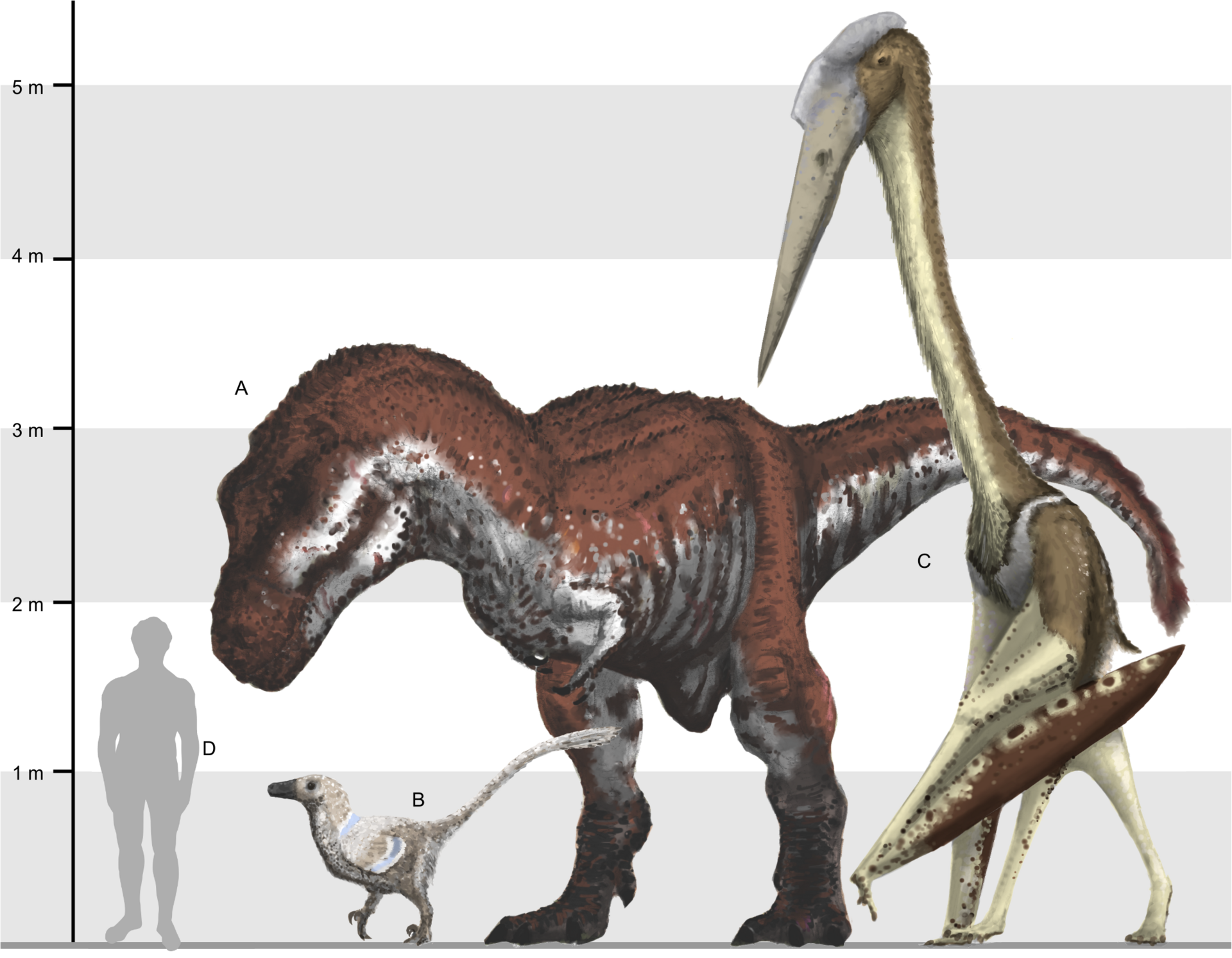 Quetzalcoatlus northropi: The Giraffe-Sized Flying Reptile of Ancient Texas
