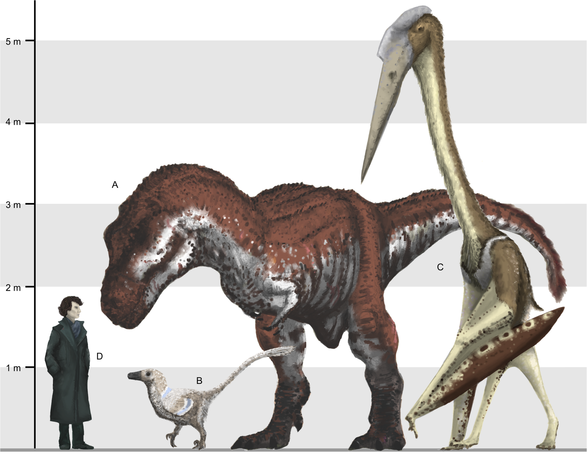Source image related to Quetzalcoatlus northropi