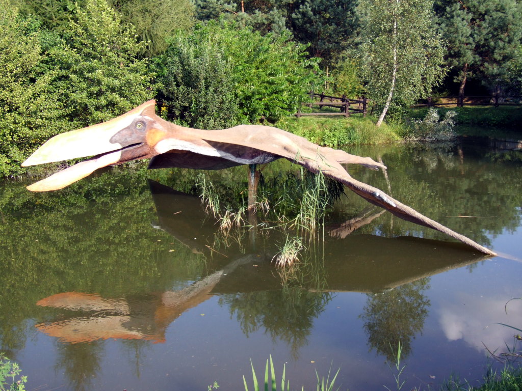 Source image related to Quetzalcoatlus northropi