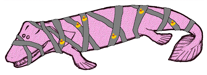 Source image related to Tiktaalik roseae