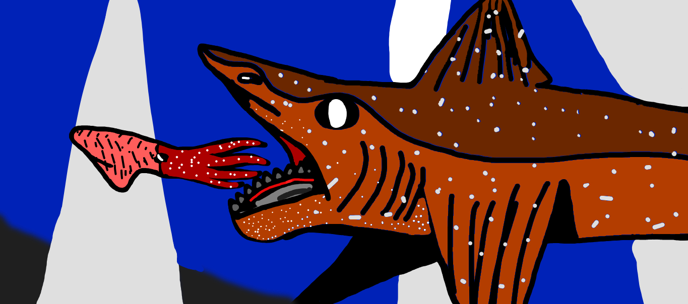 Source image related to Vampyroteuthis infernalis